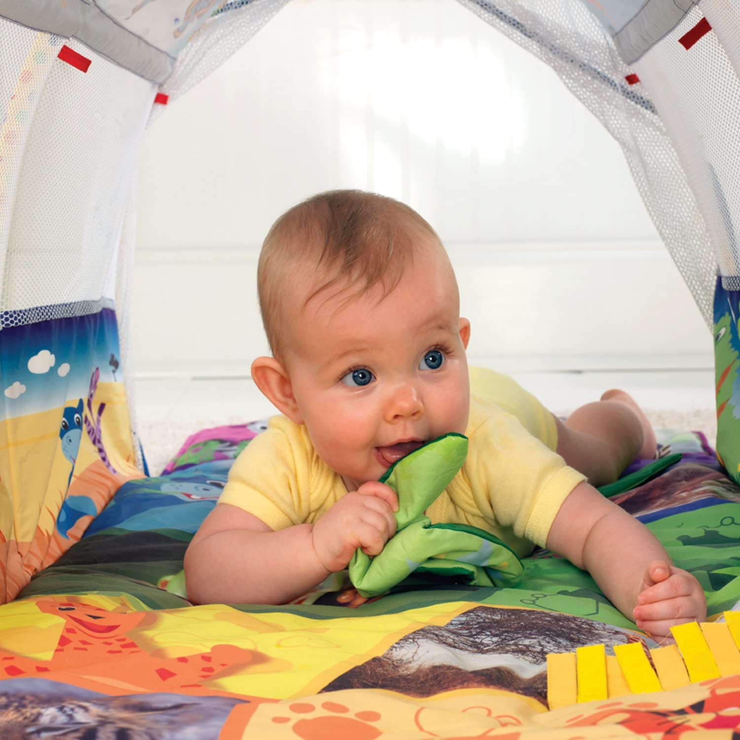 Baby einstein tunnel fashion